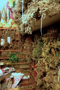 The back corner of this shop iis filled with more bundles of plant material waiting to be processed.