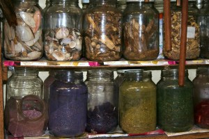 Shells, rocks, and powders for use in Muthi treatments.