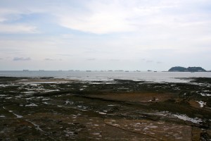 A line of ships waiting to enter the canal from the Pacific Ocean.  Different times of day allow for unidirectional flow of ships though the locks.